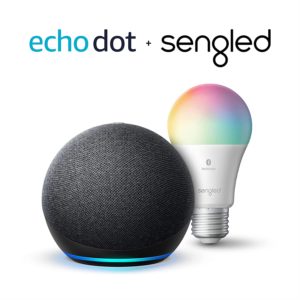 Echo-Dot-Alexa (1)